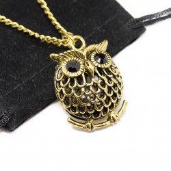 Women’s long necklace with round owl pendant